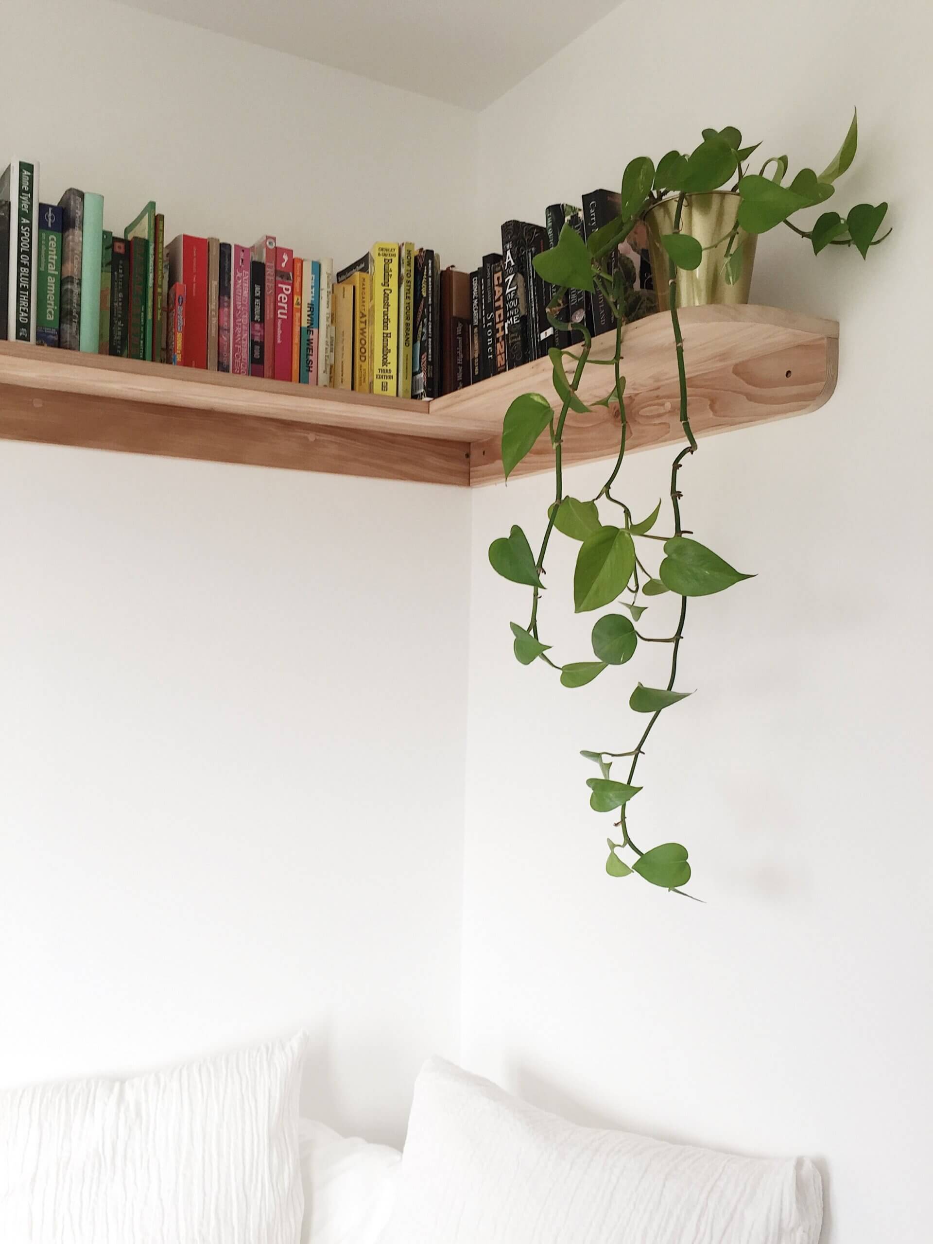 Plantas y minimalismo